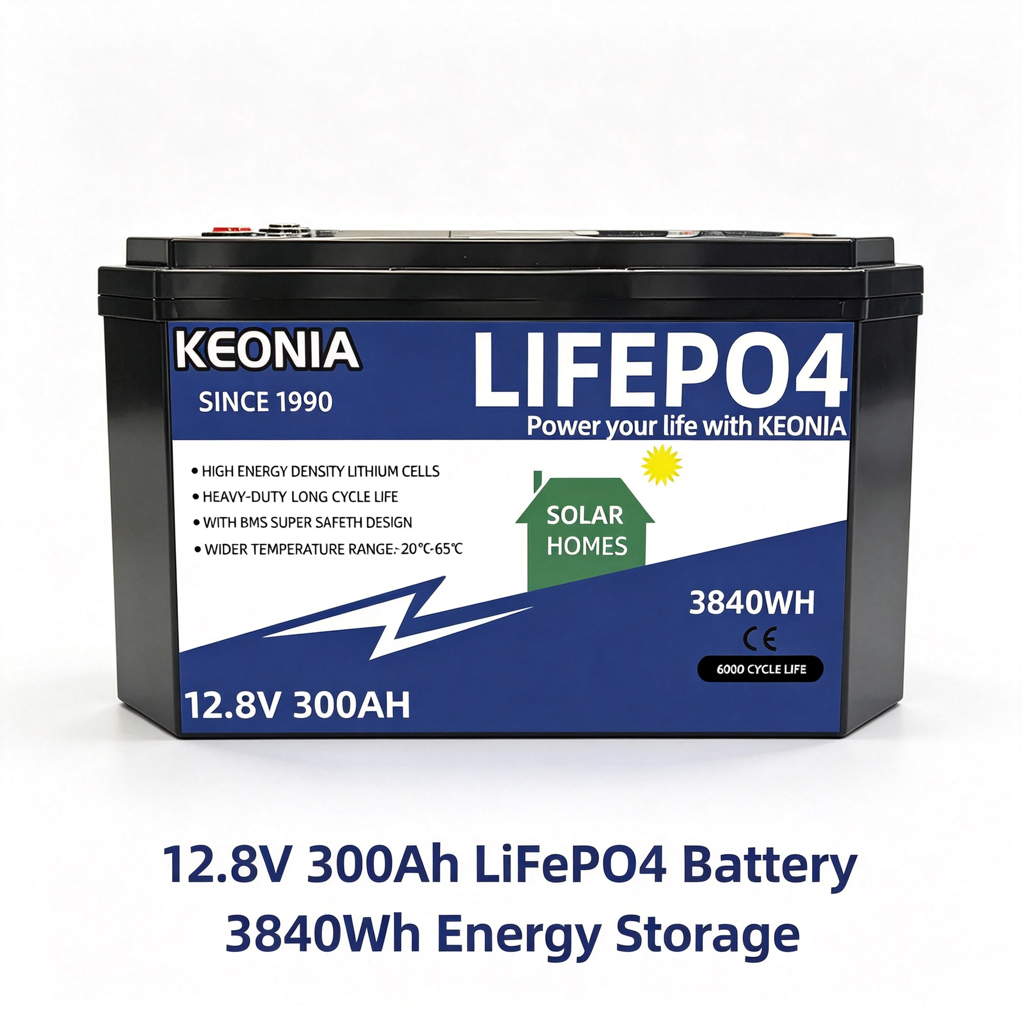 12.8V 100Ah LiFePO4 Storage Battery