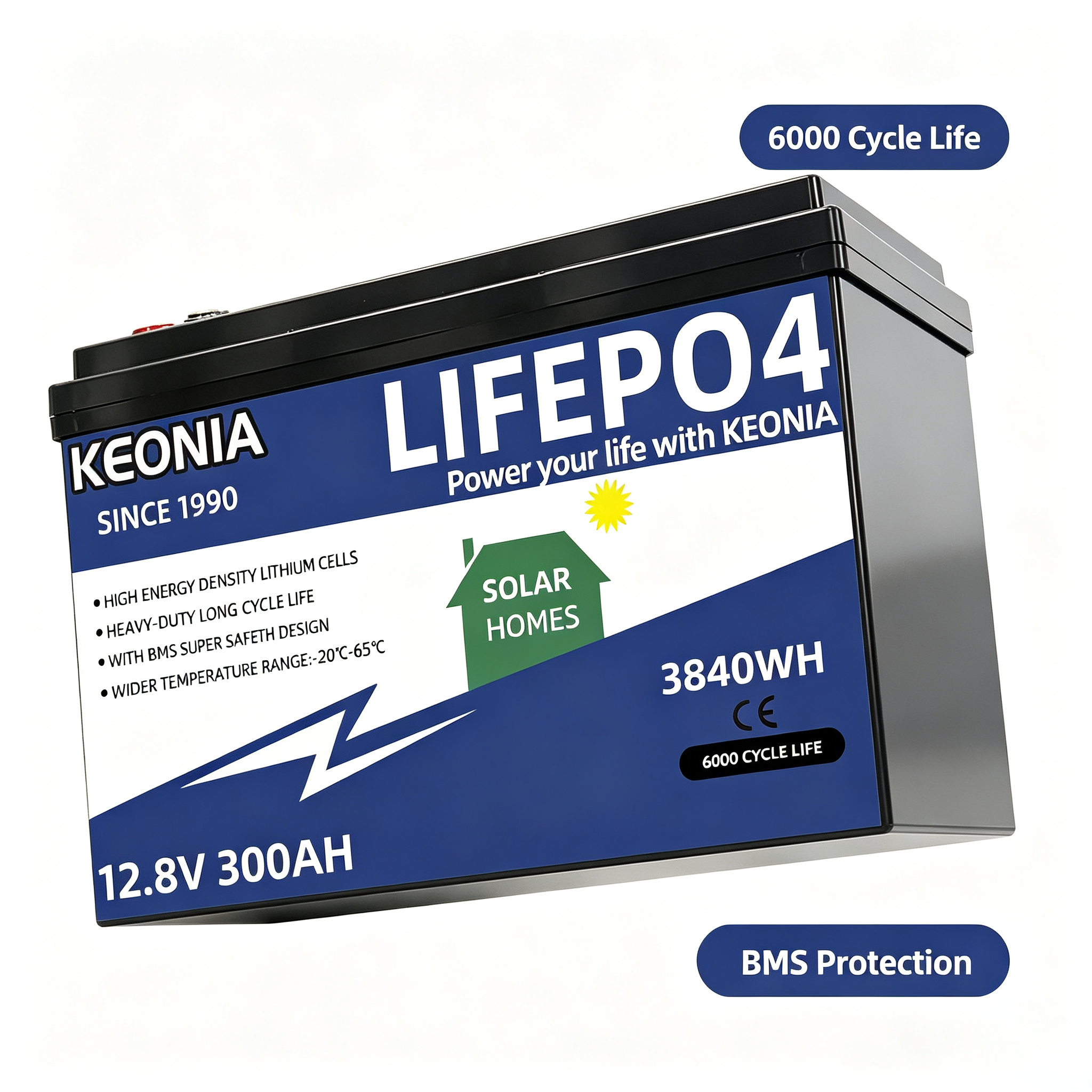 12.8V 100Ah LiFePO4 Storage Battery