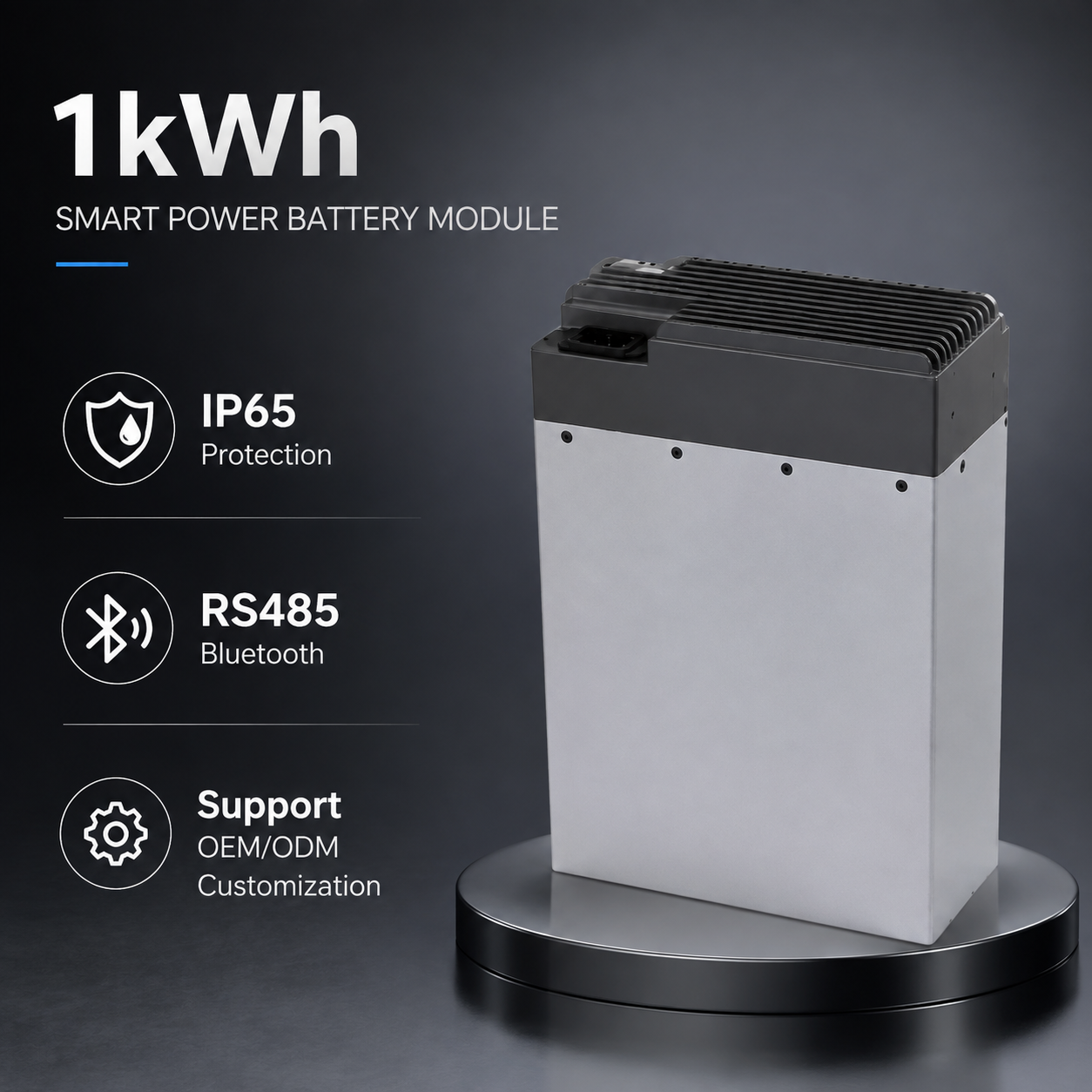 Plug-and-play 1kWh LiFePO4 Power Module for Battery Swap System